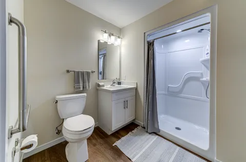 Bathroom with a toilet, vanity, grab rails and walk-in shower