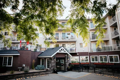 Building entrance and balconies beneath leafy tree branches