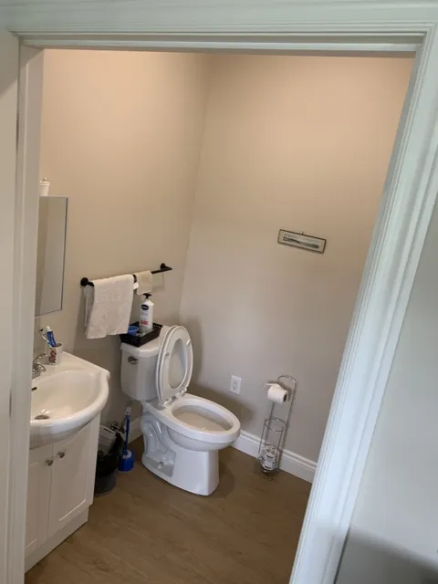 Bathroom with a toilet, vanity, towel rail and framed landscape picture.