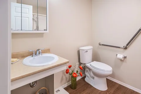 Bathroom with a sink, toilet, wall mirror and grab bars