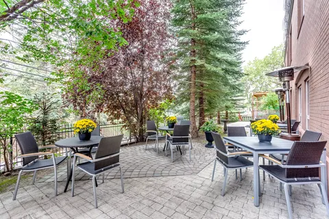 Paved patio with tables, chairs and planted flower pots