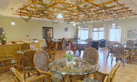 Dining tables with woven chairs and overhead decorations