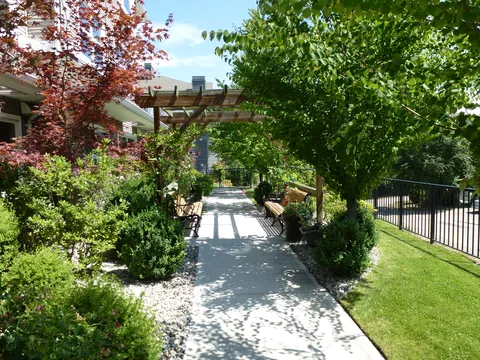 Garden walkway with plants, trees and an overhead trellis.