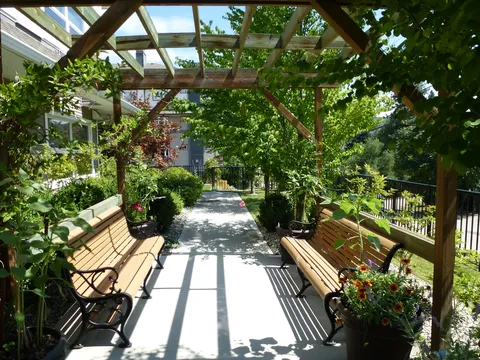 Garden path between benches under a trellis.