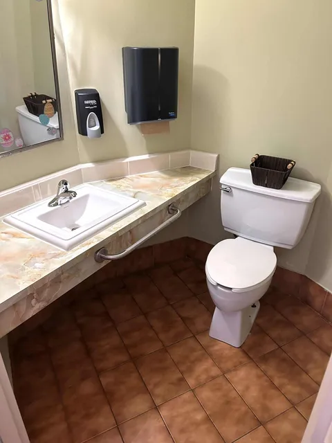 Bathroom with a sink, toilet, mirror and handrails
