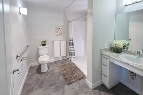 Bathroom with a vanity, toilet and accessible shower.