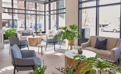 Window-side lounge with sofas, armchairs and potted plants.