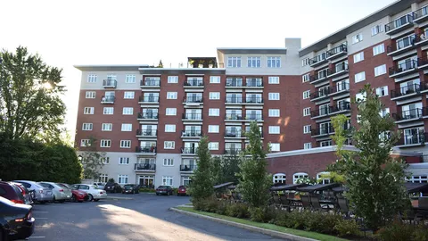 Residence balconies above a paved courtyard and landscaped borders