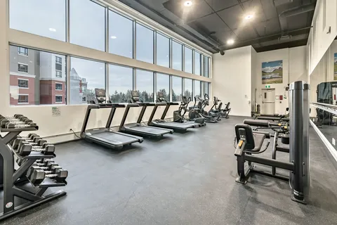 Fitness room with treadmills, exercise machines and weights beside tall windows
