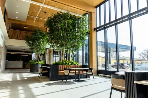 Bright atrium with indoor trees, armchairs and tall windows