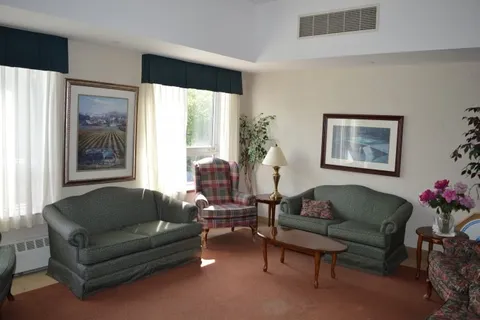 Green sofas and a patterned armchair beside large windows