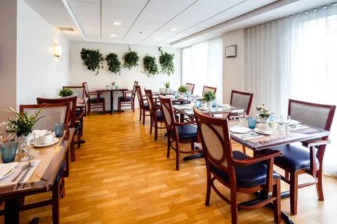 Dining tables and chairs with place settings beside curtained windows