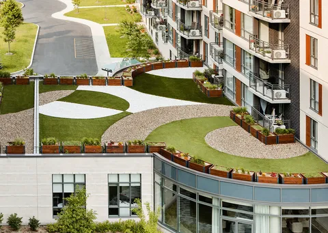 Residence balconies overlooking a landscaped rooftop garden