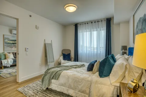 Bedroom with a bed, cushions and a curtained window.