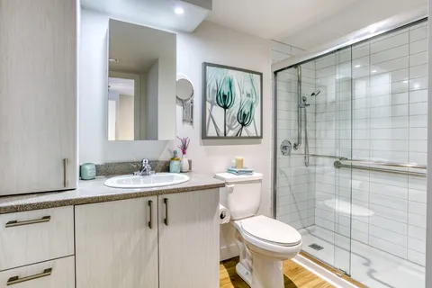 Bathroom with a glass shower, vanity, toilet and floral artwork.