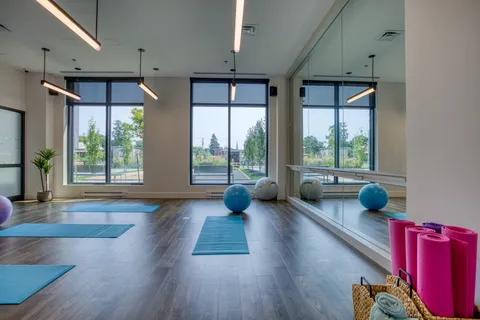Exercise studio with floor mats, exercise balls and large windows.