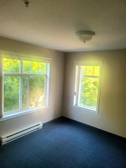 Empty bedroom with two windows and carpeted flooring.