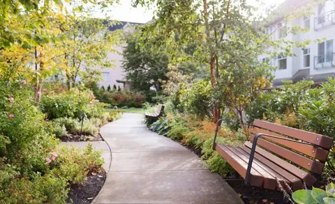 Garden path with a bench beside planted borders and the residence.