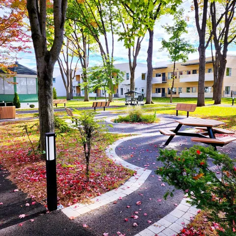 Tree-lined courtyard with benches, picnic tables and paved paths