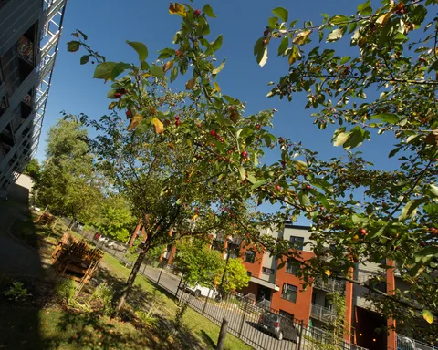 Garden with fruiting trees and benches beside the residence