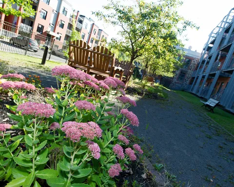 Courtyard with pink flowers, benches and a path beside the residence