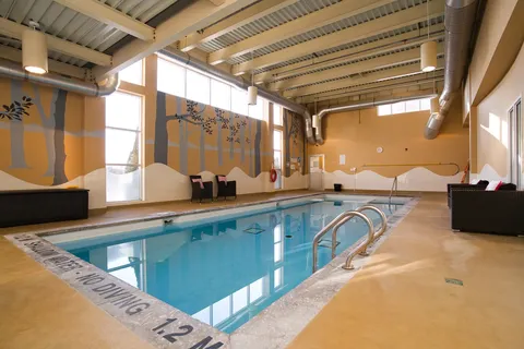Indoor swimming pool with poolside chairs and a tree mural