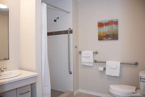 Suite bathroom with a walk-in shower and grab bars.