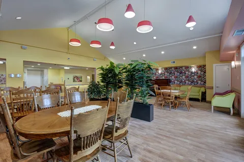 Dining room with wooden chairs, tables and a large indoor plant