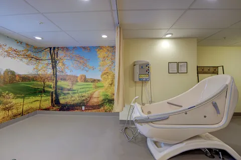 Bathing room with an accessible tub and a landscape mural