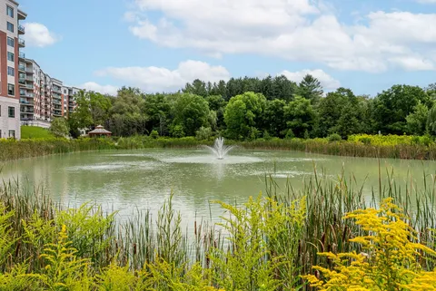 Pond with a fountain, planted shoreline and residence buildings beyond.