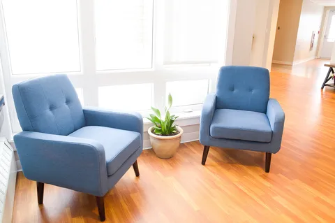 Two blue armchairs beside a potted plant and large windows