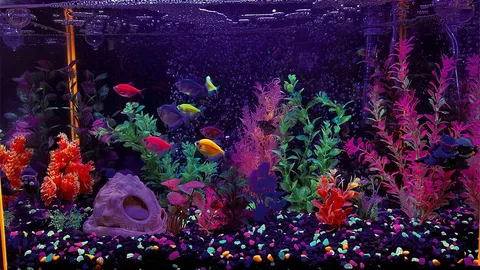 Aquarium with colourful fish, aquatic plants and gravel