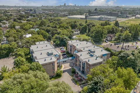 Aerial view of a residence and its driveway among trees and lawns
