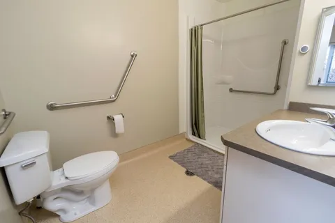 Bathroom with a toilet, sink, shower and grab bars