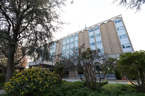 Multi-storey building viewed through trees and shrubs