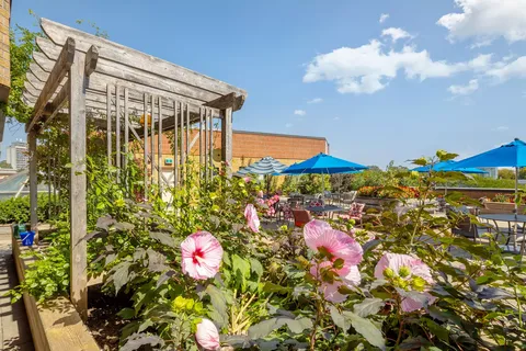 Terrace garden with flowering plants, wooden pergolas and blue umbrellas