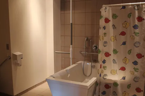 Accessible bathtub with grab rails and a shower curtain.