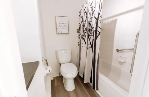 Bathroom with a toilet, bathtub, grab bar and tree-patterned shower curtain