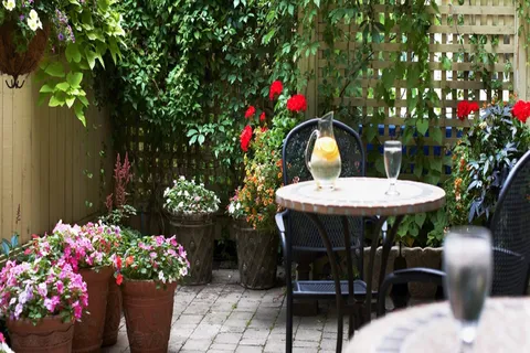 Patio tables surrounded by climbing plants and flowerpots