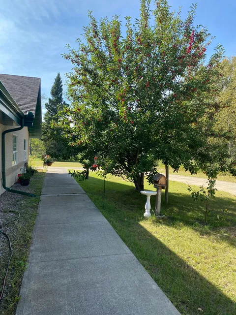 Tree beside the residence with a concrete path, lawn, birdhouse and birdbath