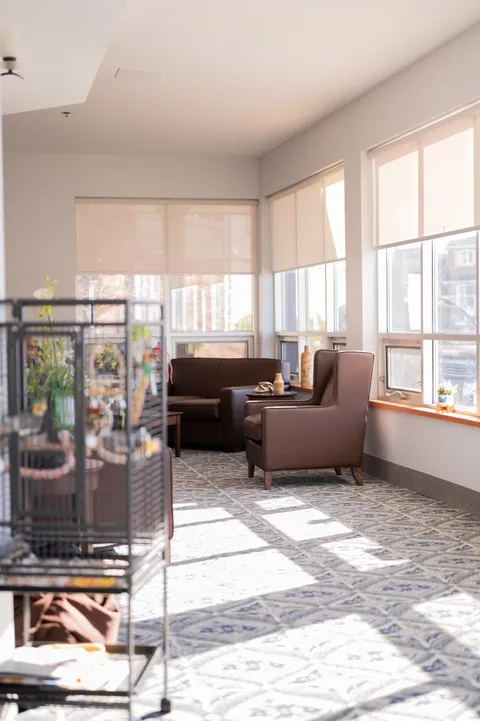 Armchairs beside large windows and a bird cage