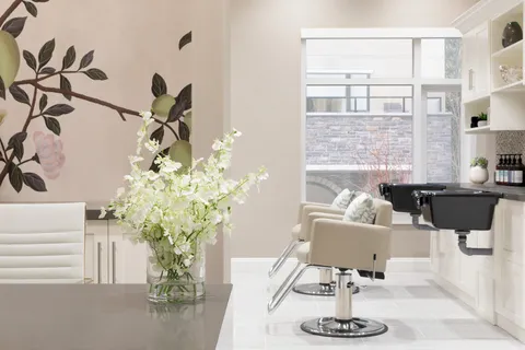 Salon styling chair, counter and shelves beside a window.