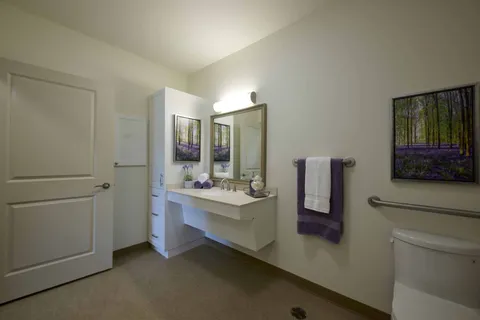 Bathroom with a sink, toilet, mirror, purple towels and framed forest pictures