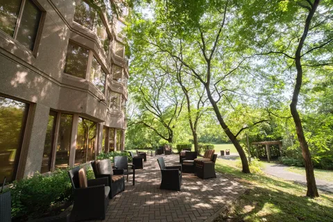 Patio chairs on a brick terrace beside trees and the residence.