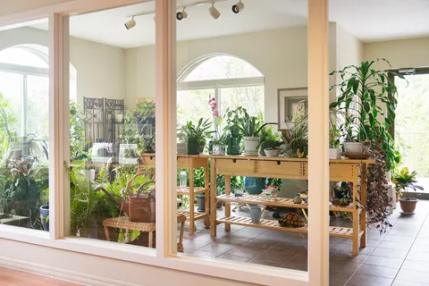 Greenhouse with planted tables and large arched windows.