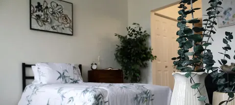 Bed and plants in a furnished studio suite.