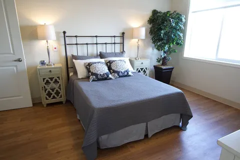 Bedroom with a bed, mirrored bedside tables and a leafy plant