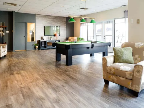 Billiards room with a green pool table, armchairs and a television