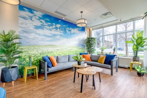 Grey sofas with blue and orange cushions beside a meadow mural