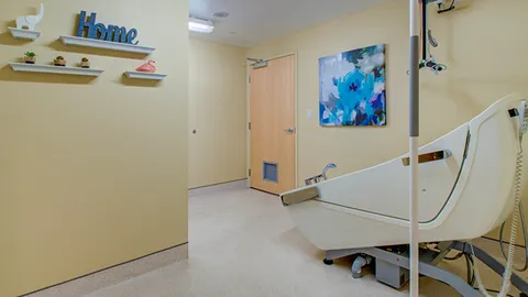 Bathing room with an accessible bathtub and wall-mounted artwork.